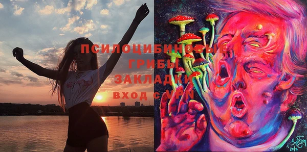 СК Абаза