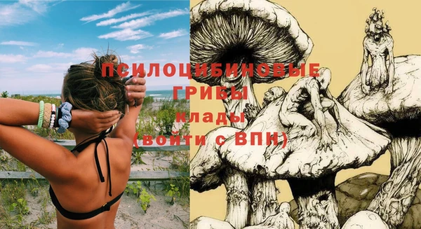 каннабис Абинск