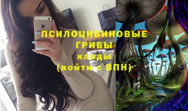 СК Абаза