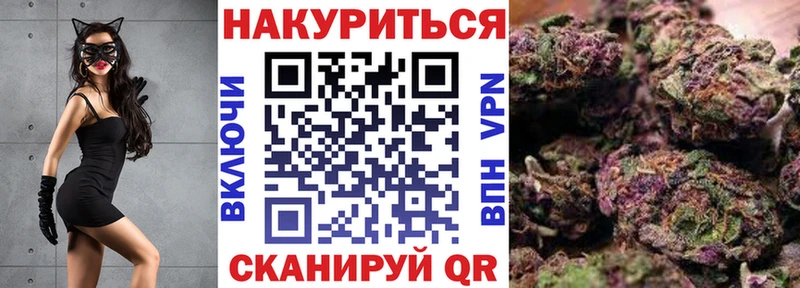 Шишки марихуана сатива  где продают наркотики  Сычёвка 
